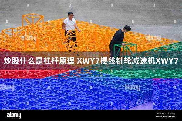 炒股什么是杠杆原理 XWY7摆线针轮减速机XWY7