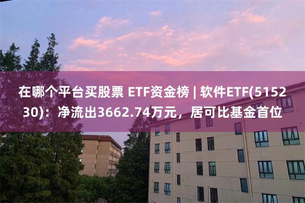 在哪个平台买股票 ETF资金榜 | 软件ETF(515230)：净流出3662.74万元，居可比基金首位