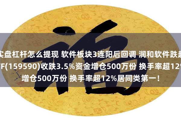 实盘杠杆怎么提现 软件板块3连阳后回调 润和软件跌超4% 软件50ETF(159590)收跌3.5%资金增仓500万份 换手率超12%居同类第一！