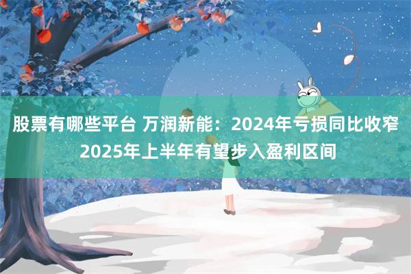 股票有哪些平台 万润新能：2024年亏损同比收窄 2025年上半年有望步入盈利区间