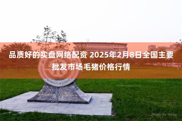 品质好的实盘网络配资 2025年2月8日全国主要批发市场毛猪价格行情